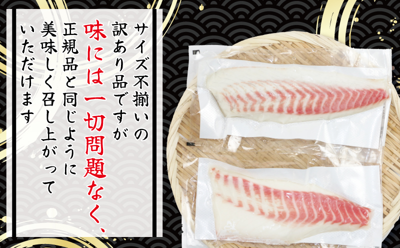 【訳あり】 真鯛  刺身 超冷薫加工 皮なし ロイン 1.2kg オンスイ まだい タイ 水産 人気 産地直送 D020-159013