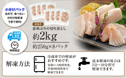 【訳あり】 ブリ 鰤 切り落とし 計約 2kg ( 250g ×8 パック ) 南予ビージョイ buri ぶり 魚 刺身 わけあり 人気 D021-150008