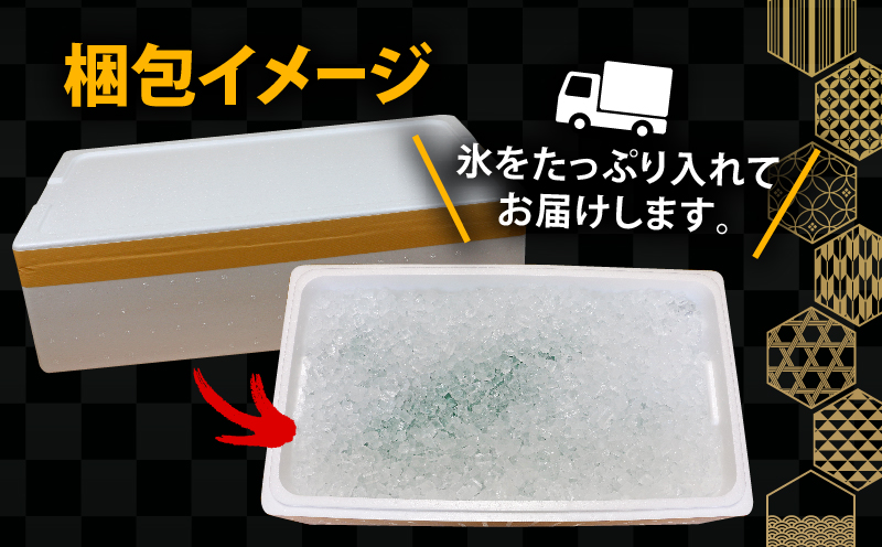 鮮魚 セット 神経締め 宇和海産 2種 こもこもShop 鮮魚詰合せ 神経〆 まるごと タイ カンパチ ブリヒラ シマアジ カワハギ イシダイ 養殖 刺身 お刺身 お刺し身 刺し身 人気 鯛 鯛めし 塩焼き 煮付け 焼き魚 アレンジ 新鮮 産地直送 冷蔵 国産 愛媛 宇和島 D040-186007