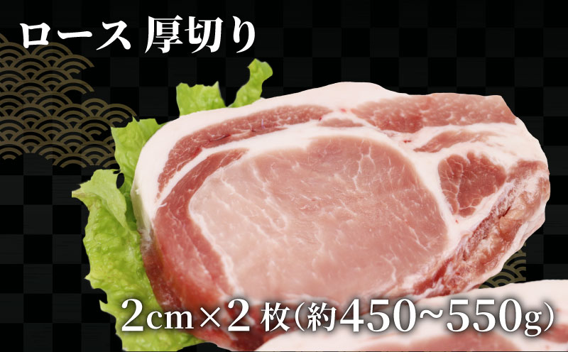 とんかつ セット ヒレ 約 650g ロース 2枚 ミックス ミンチ 約 500g 無薬 あい健康豚 あい健康牧場 niku 豚 豚肉 ぶた ぶたにく ブランド豚 真空パック 豚カツ 挽き肉 挽肉 肉 にく 冷凍 農家直送 産地直送 数量限定 国産 愛媛 宇和島 E024-154008