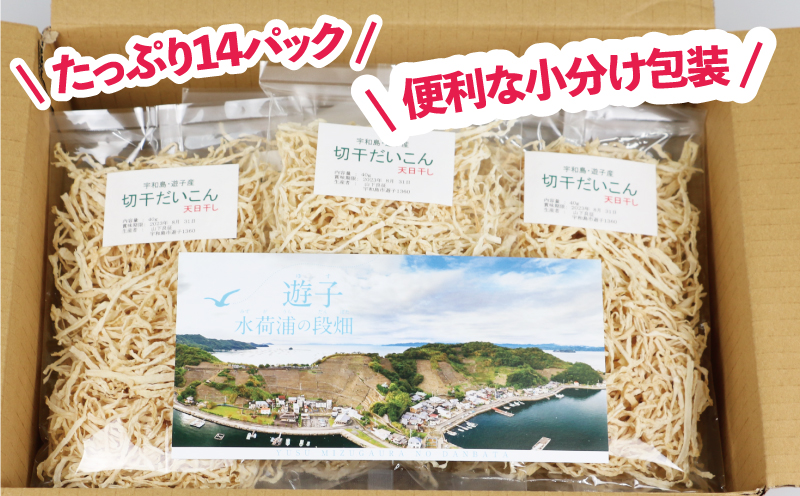 切り干し大根  小分け 560g NPO法人段畑を守ろう会 切干大根 天日干し 宇和島市遊子産 パック 大根 野菜 根菜 おかず 簡単 料理 農家直送 産地直送 数量限定 国産 愛媛 宇和島 F010-051004
