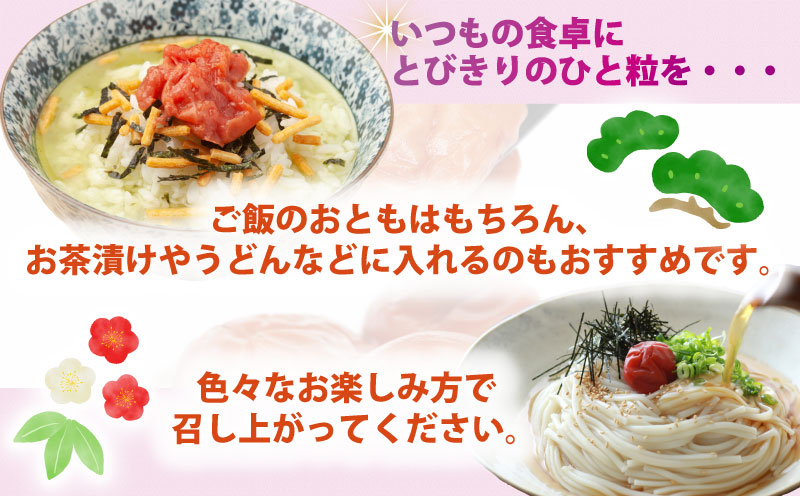 【数量限定】 梅干し しそ漬け 完熟 南高 1.3kg 夢萬開 先行予約 うめぼし 干し 手作り ume ウメ F010-105001