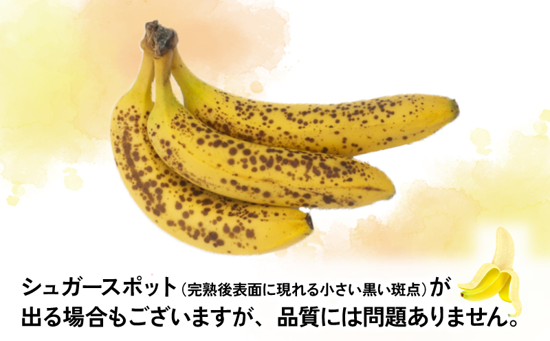 バナナ 熟サンテーラバナナ 計 約3kg ( 600g以上 × 5袋 ) 徳田青果 果物 くだもの フルーツ ばなな トロピカルフルーツ 南国フルーツ 熟成バナナ 甘い コク 香り 希少 朝食 おやつ スムージー 手軽 簡単 お取り寄せ 愛媛 宇和島 F010-194001