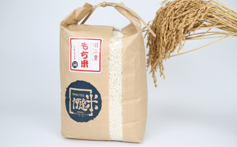 もち米 羽二重もち 3kg ワールドファーマーズ お米 米 餅米 はぶたえもち 餅ごめ お餅 おもち 餅菓子 なめらか お団子 だんご 鏡餅 甘い モチ お正月 産地直送 数量限定 国産 愛媛 宇和島 G010-024029