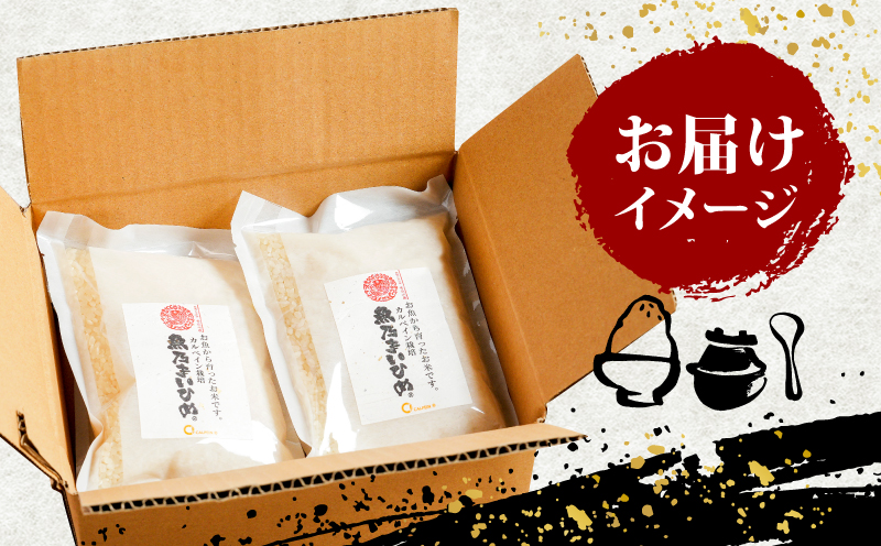 コシヒカリ 魚乃まいひめ カルペイン栽培 計 1升 2合 × 5袋 精米 秀長水産 お米 米 環境保全 カルペイン 鯛 真鯛 魚肥 使用 こめ コメ kome 小分け お弁当 弁当 おにぎり ふっくら ツヤツヤ 美味しい 甘い 備蓄 防災 産地直送 数量限定 国産 愛媛 宇和島 G015-016006