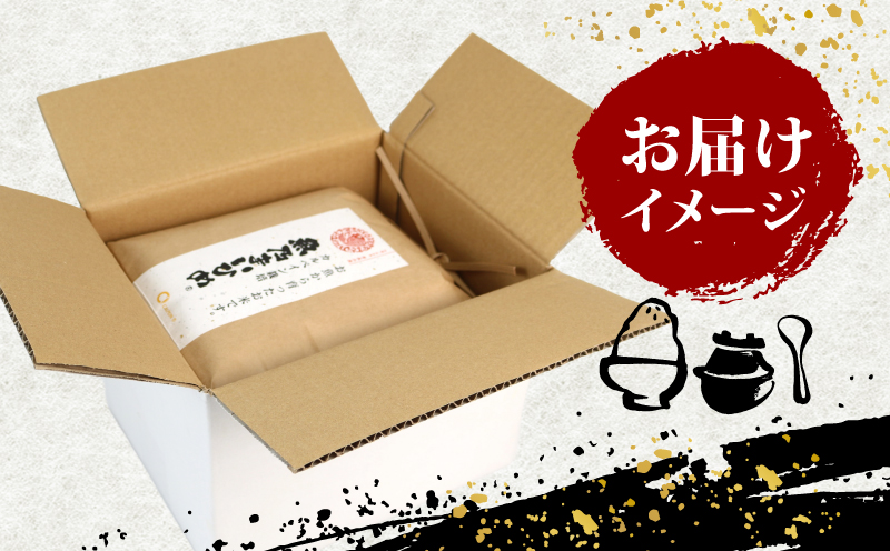 令和7年産 新米予約 コシヒカリ 魚乃まいひめ カルペイン栽培 6kg (3kg×2袋) 精米 秀長水産 新米 令和7年9月中旬以降発送 三間米 お米 米 環境保全 カルペイン 鯛 真鯛 こめ コメ kome 小分け お弁当 弁当 ツヤツヤ 美味しい 産地直送 数量限定 国産 愛媛 宇和島 G022-016010