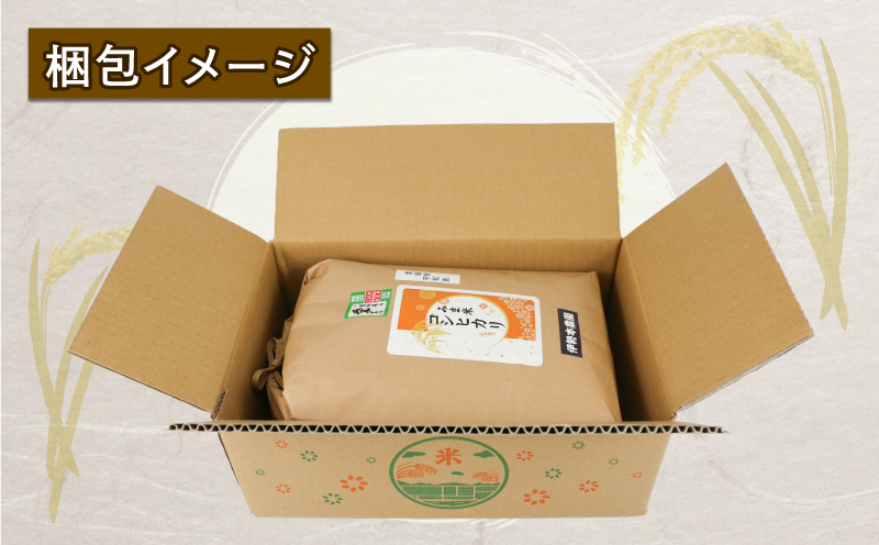 新米 定期便 3回 計15kg 先行予約 特別栽培米 三間米 コシヒカリ 5kg ×3回 伊勢本農園 特別栽培 米 お米 おこめ ごはん こめ コメ ※ kome 白米 精米 お弁当 ブランド米 ふっくら ライス 農家直送 産地直送 数量限定 国産 愛媛 宇和島 G045-146004