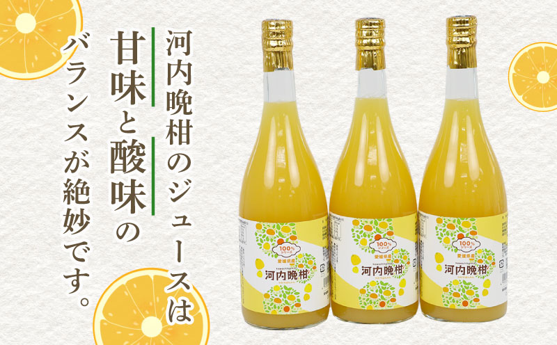 果汁100% 河内晩柑 ストレートジュース 720ml 3本 矢野青果 100％ みかん ジュース みかんジュース かわちばんかん 晩柑 果汁 飲料 飲み物 果物 くだもの フルーツ さっぱり 蜜柑 mikan ギフト 産地直送 数量限定 国産 愛媛 宇和島 H010-171015