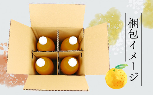 みかんジュース 本物の100％みかんジュース 1,000ml × 4本 木田柑橘農園 先行予約 南柑20号 温州みかん 温州蜜柑 みかん mikan ストレート オレンジ 果汁100％  ストレートジュース 果物 くだもの フルーツ  ギフト プレゼント 国産 愛媛 宇和島 H017-185001