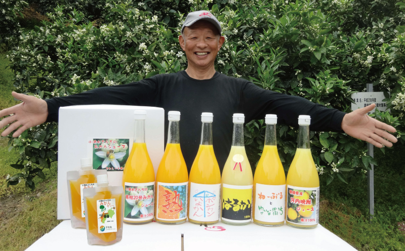 みかんジュース 720ml ×6本 ゼリー 175g ×2個 小清水農園 愛媛みかん 愛媛ミカン 愛媛蜜柑 温州みかん 温州 mikan 果物  くだもの 果汁 飲料 柑橘 みかん ジュース みかんジュース ストレートジュース 100%ジュース ストレート みかんゼリー フルーツゼリー  果物ゼリー ...