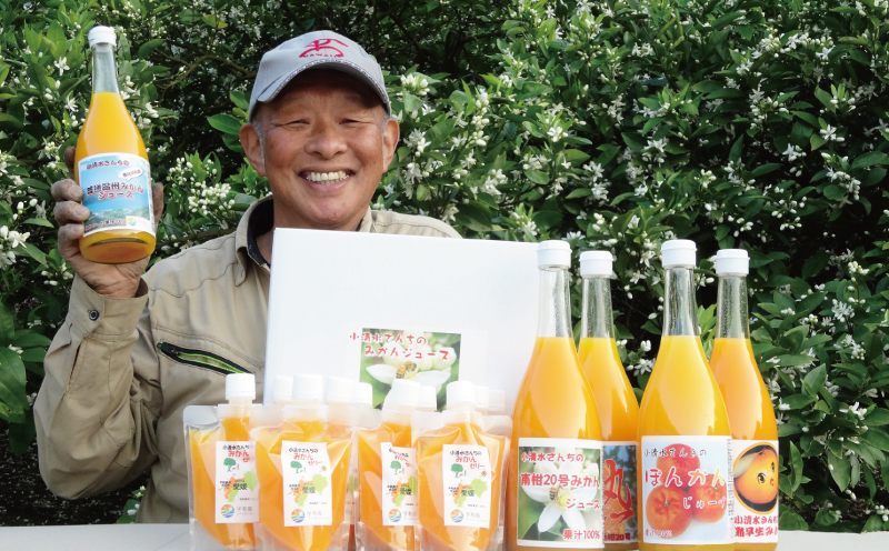 みかんジュース ゼリー セット ジュース 720ml × 4本 みかんゼリー 175g × 8個 小清水農園 先行予約 2026年1月16日～順次発送 温州 mikan 果汁 飲料 柑橘 みかん 果物 くだもの ストレート 100%ジュース フルーツ 果物ゼリー 産地直送 数量限定 国産 愛媛 宇和島 H024-033004