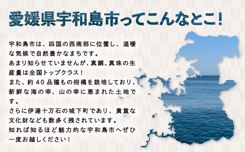どぶろく NASSO なっそ 720ml ×2本 企業組合いわまつ 飲料 米 淡麗 辛口 酒 お酒 地酒 アルコール 米麹 数量限定 国産 愛媛 宇和島 I012-006003