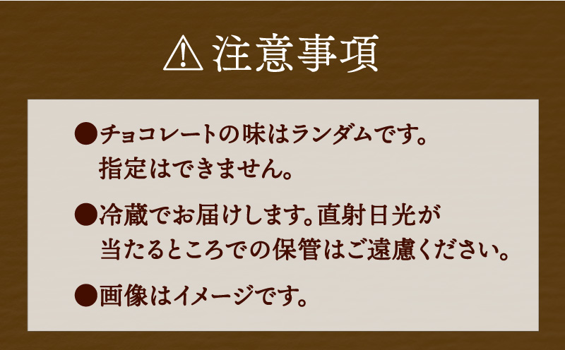 チョコ セット 久遠チョコレート スエヒロハーフBOX テリーヌ ロッシェ オランジェ おまかせ ちょこ ちょこれーと チョコ チョコレート ドライフルーツ フルーツ 果物 くだもの 洋菓子 菓子 焼き菓子 おやつ ギフト プレゼント 愛媛 宇和島 J010-167001