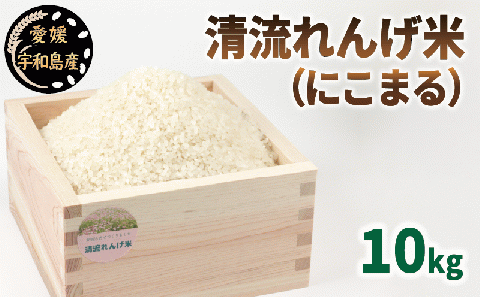 新米 先行予約 精米 清流 れんげ米 にこまる 10kg かわたのお米屋さん 11月以降発送 米 kome おこめ 白米 ごはん お弁当 おにぎり ブランド米 ふっくら ツヤツヤ 甘い 粘り 美味しい ライス 農家直送 産地直送 数量限定 国産 愛媛 宇和島 G020-134003