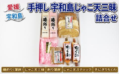 じゃこ天 三昧 詰合せ セット 島原本舗 蒲鉾 かまぼこ 揚げかまぼこ ちくわ 竹輪 手押し 手作り じゃこ天スティック 削り蒲鉾 すり身 練り物 冷蔵 惣菜 フライ アレンジ 小分け 酒 おつまみ 肴 魚肉 水産 加工品 特産品 郷土料理 国産 愛媛 宇和島 C015-025001