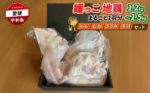 国産地鶏 地鶏 媛っこ地鶏  1羽分 1.2～1.5kg 寒山鳥聲 鶏舎 鳥 tori 鳥肉 鶏肉 鶏 とり肉 地鶏り お肉 肉 niku にく とりにく もも肉 鶏もも 胸肉 ムネ肉 ささ身 手羽 食べ比べ 冷凍 産地直送 数量限定 特産品 国産 愛媛 宇和島 E018-089004