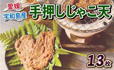 ＼10営業日以内発送／ 手押し じゃこ天 13枚 亀井蒲鉾 手作りじゃこ天 手押しじゃこ天 練り物 練物 天ぷら てんぷら かまぼこ 蒲鉾 炒め物 和え物 おでん お鍋 鍋 おやつ 小魚 お弁当 弁当 揚げ蒲鉾 揚げかまぼこ 冷蔵 惣菜 冷蔵 郷土料理 魚肉加工品 特産品 愛媛 宇和島 C010-069003
