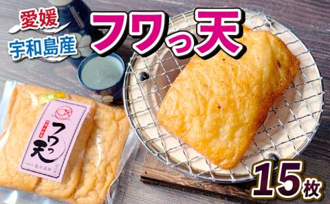 フワっ天 15枚 亀井蒲鉾 手作り 甘い ふわふわ もちもち 練り物 練物 天ぷら てんぷら かまぼこ 蒲鉾 はんぺん 炒め物 和え物 おでん お鍋 鍋 おやつ お弁当 弁当 揚げ蒲鉾 揚げかまぼこ 冷蔵 惣菜 冷蔵 郷土料理 魚肉加工品 特産品 愛媛 宇和島 C010-069004
