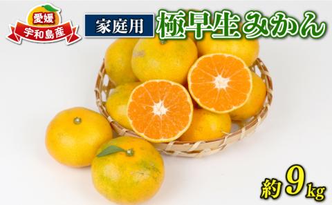 愛媛みかん 極早生みかん 9kg 家庭用 植村農園 先行予約 極早生 温州みかん 温州 mikan 愛媛ミカン 愛媛蜜柑 愛媛みかん 蜜柑 さっぱり 爽やか 果物 くだもの フルーツ 柑橘 農家直送 産地直送 数量限定 国産 愛媛 愛媛産 宇和島 B010-153001