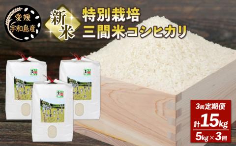 新米 特別栽培米 米 定期便 3回 計 15kg コシヒカリ 5kg × 3 高秋農園 先行予約 令和7年度産 特別栽培 玄米 ごはん ご飯 お弁当 おにぎり ブランド米 ふっくら ツヤツヤ 甘い 三間米 こめ 粘り 国産 愛媛 宇和島 G036-149003
