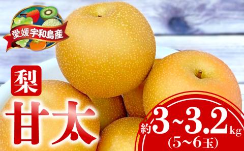 梨 甘太 3 ～ 3.2kg（5～6玉） 大森城山麓園 先行予約 なし 和梨 ナシ 新品種 果汁 甘い 人気 果物 フルーツ 産地直送 農家直送 数量限定 国産 愛媛 宇和島 F010-181001