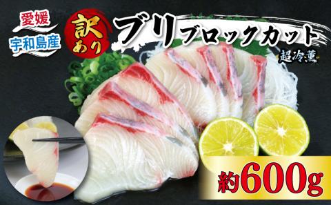 【産地直送】 ブリ 訳あり ブロックカット  600g オンスイ 鰤 buri 人気 刺身 D010-159008