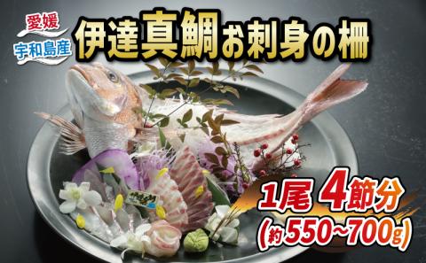 タイ 真鯛 伊達真鯛 550g ~ 700g 1尾 刺身 柵 4節 宇和島プロジェクト 鯛 マダイ お刺身 お刺し身 刺し身 真空パック フィーレ お手軽 海鮮丼 海鮮 鯛めし 鯛茶漬け お茶漬け 鯛しゃぶ 塩焼き 煮付け 魚 産地直送 愛媛県産 国産 愛媛 宇和島 D022-071005