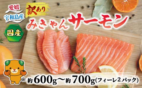 訳あり みきゃんサーモン フィーレ 約 600g ～ 700g 宇和島プロジェクト 国産サーモン サーモン 鮭 さけ 真空パック 刺身 数量限定 不揃い 国産 愛媛 宇和島 D016-071014