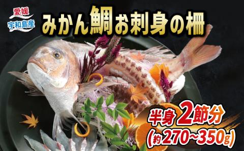 【数量限定】 みかん 真鯛 270g ~ 350g 半身 刺身 柵 2節 宇和島プロジェクト たい tai 刺身 魚 D012-071001