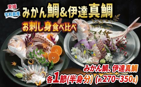 【食べ比べセット】 刺身 みかん 鯛 ＆ 伊達 真鯛 270g 〜 350g  宇和島プロジェクト 魚  海鮮 新鮮 産地直送 養殖 真鯛 D012-071003