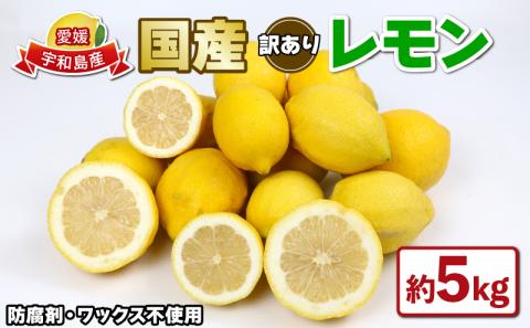 国産 訳あり レモン 5kg つばさ農園  先行予約 防腐剤 ・ ワックス 不使用 国産レモン 先行予約 青レモン れもん remon 檸檬 レモン果汁 酸味 高級 果物  ビタミン 健康 フルーツ 柑橘 みかん 農家直送 産地直送 数量限定 愛媛 宇和島 B010-048013