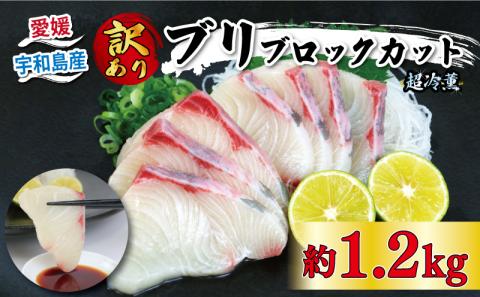 【超冷薫加工】鰤 訳あり ブリ ブロック カット 1.2kg オンスイ ぶり buri お刺身 人気 水産 D020-159010