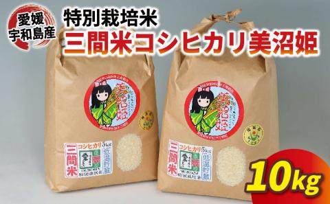 特別栽培米 コシヒカリ 計 10kg 令和6年度産新米 三間町特別栽培米生産組合 美沼姫 新米 お弁当 おにぎり 玄米 対応可 ふっくら ツヤツヤ  甘い 三間米 米 国産 愛媛 宇和島 G018-032001: 宇和島市ANAのふるさと納税