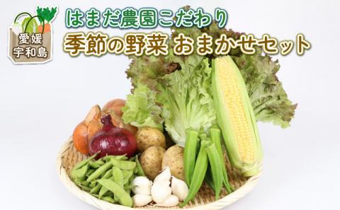 季節のおまかせ 野菜 セット はまだ農園 やさい 野菜セット 美味しい 新鮮 小分け 季節 お任せ 食べ比べ 旬野菜 旬 詰め合わせ 季節限定 季節野菜 フレッシュ yasai 農家直送 産地直送 数量限定 国産 愛媛 宇和島 F010-139001