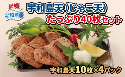 【練り物】 じゃこ天 40枚 10枚 × 4 パック 小林フーズ 練物 C012-070001