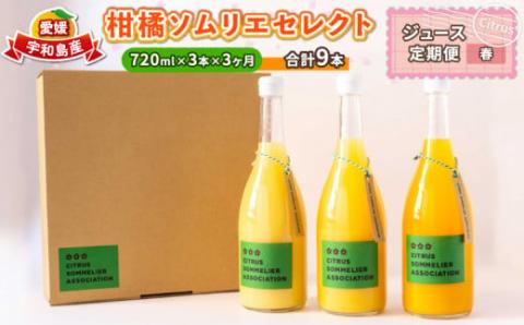 ジュース定期便 3回 720ml × 3本 計9本 セレクト ジュース 柑橘ソムリエ 定期便 みかん定期便 3ヶ月 果汁 飲料 柑橘 みかん mikan 蜜柑 みかんジュース ストレートジュース 100%ジュース 果物 くだもの フルーツ 国産 愛媛 宇和島 H040-064002