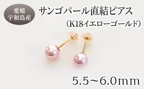 サンゴ パール 直結 ピアス 5.5-6.0mm イエローゴールド 松本真珠 母の