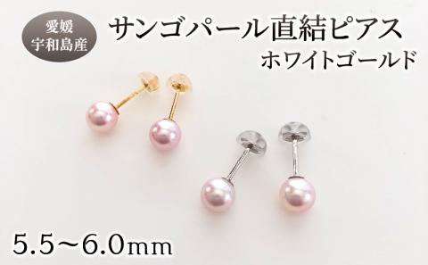 サンゴ パール 直結 ピアス 5.5-6.0mm ホワイトゴールド 松本真珠 真珠 無調色 アクセサリー パールピアス レディース  アコヤ真珠 本真珠 akoya フォーマル カジュアル 慶事 弔事 結婚式 卒業式 入学式 ギフト 贈り物 国産 愛媛 宇和島 A170-068008