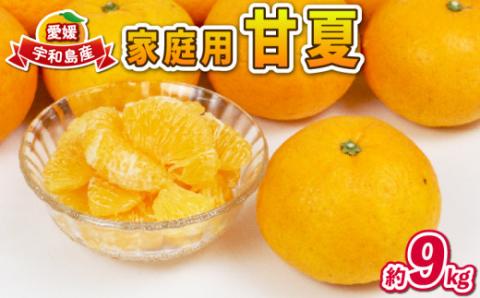 愛媛みかん 甘夏 9kg 家庭用 誉農園 初夏の蜜柑 夏みかん 甘夏みかん 甘夏柑 マーマレード あまなつ 愛媛ミカン 愛媛蜜柑 みかん 蜜柑 mikan 果物 くだもの フルーツ 柑橘 みかん 蜜柑 数量限定 農家直送 産地直送 国産 愛媛 宇和島 B012-138005