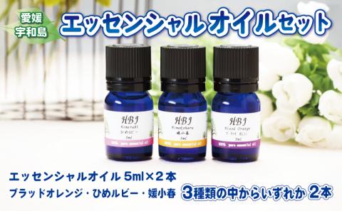 エッセンシャルオイル セット 5ml × 2本 ひめ美じん  柑橘アロマ ブラッドオレンジ ひめルビー 媛小春 柑橘 自然 天然 アロマオイル アロマディフューザー 香り リラックス オイル 精油 美容 健康 雑貨 日用品 ギフト プレゼント 国産 愛媛 宇和島 K020-078001