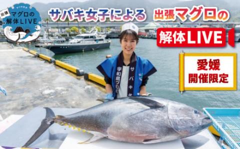 新鮮 マグロ 解体 出張 LIVE 愛媛開催限定 サバキ女子 宇和島プロジェクト 限定 マグロ解体ショー 解体ショー マグロ解体 本マグロ 黒マグロ 養殖マグロ 鮪 ショー イベント 結婚式 パーティー 愛媛 愛媛県 宇和島 L2115-071011