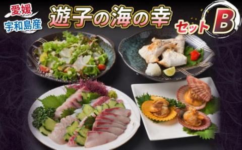 真鯛 ハマチ タイカマ ヒオウギ貝 海の幸 セット B 愛媛県漁業協同組合遊子支所 遊子 鯛 タイ マダイ 出世魚 ブリ 鰤 貝 刺身 お刺身 刺し身 お刺し身 フィーレ ブロック 加工 魚 魚介 しゃぶしゃぶ たたき 冷凍 産地直送 数量限定 国産 愛媛 宇和島 D024-022003