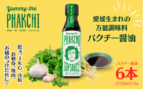 パクチー醤油 オリジナル 6本 セット 旭合名会社 パクチー 醤油 コリアンダー ごま油 ニンニク 万能 調味料 国産 愛媛 宇和島 J018-052009