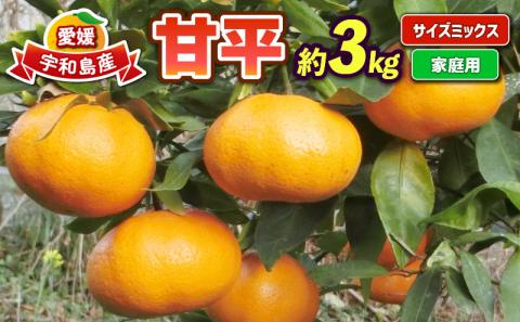 甘平 3kg 家庭用 サイズ 不揃い 陽だまりミカン 高級 限定 愛媛県産 ブランド オリジナル 品種 希少 甘い シャキシャキ 果物 くだもの フルーツ 柑橘 蜜柑 みかん mikan かんぺい 愛媛みかん 農家直送 産地直送 数量限定 国産 愛媛 宇和島 B012-050002
