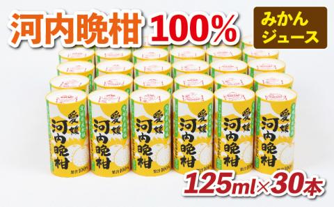 【100%ジュース】みかん 河内晩柑 125ml ×30本 愛工房 ストレートジュース 紙パック mikan 蜜柑 新鮮 国産 愛媛 宇和島 H020-034004