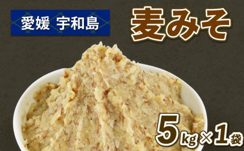 麦みそ 5kg 味噌 みそ 麦味噌 企業組合 津島 あぐり工房 麦みそ 味噌 みそ 加工食品 miso ミソ 麦味噌 発酵 発酵調味料 調味料 味噌汁 みそしる みそ汁 麦 麹 こうじ 数量限定 手作り こだわり 国産 愛媛 宇和島 J012-066005