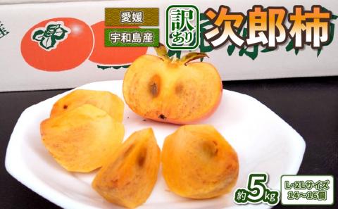 訳あり 次郎柿 15～16個 L・2L 5kg 末光農園 柿 かき フルーツ 果物 国産 愛媛  宇和島 F012-118001