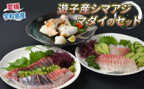 シマアジ 真鯛 タイカマ 詰合せ セット 愛媛県漁業協同組合遊子支所 遊子 縞鯵 鯛 タイ マダイ フィーレ ブロック 加工 刺身 お刺身 刺し身 お刺し身 海鮮 海の幸 魚 魚介 しゃぶしゃぶ たたき アレンジ 冷凍 産地直送 数量限定 国産 愛媛 宇和島 D024-022002