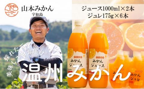 みかんジュース ジュレ 詰合せ 山本みかん 先行予約 ゼリー 果物 くだもの 蜜柑 mikan 産直 H012-038006