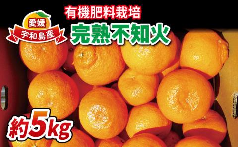 不知火 5kg 有機肥料栽培 完熟 ほんとのみかん清家農園 しらぬい 先行予約 高級柑橘 果物 くだもの フルーツ 柑橘 みかん 蜜柑 mikan 高級 愛媛県産 愛媛ミカン 愛媛蜜柑 愛媛みかん 有機肥料 数量限定 産地直送 農家直送 国産 愛媛 宇和島 B018-040001
